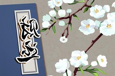 起名若凡（若起名字大全女孩名字大全）