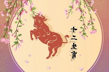 八字行土运是什么意思（土运对什么命人好）