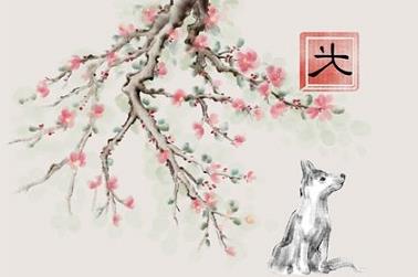 兔和龙属相合不合（女兔和男龙会相克吗）