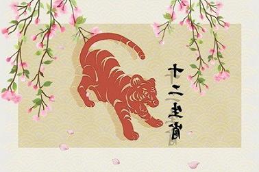 给泰迪起名字大全（给一对狗狗起的名字）