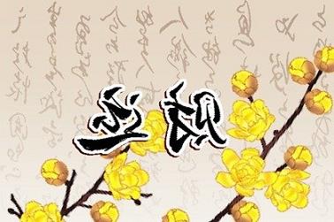 家居风水金钱树（金钱树的风水禁忌）