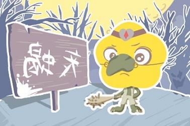 梦见花鞋周公解梦（做梦梦见花是什么意思）