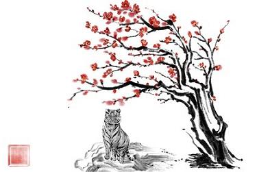 一家三口的属相（猪狗龙一家三口好不好）