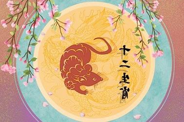 今年小孩什么命（2023年属牛人的婚姻）
