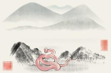 属龙人家居风水（属龙的家里忌讳摆放什么）