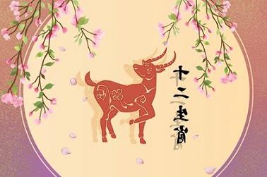 下巴左右不对称面相（从侧面看下巴前突面相）