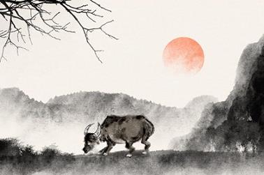 孕妇梦到狮子周公解梦（孕妇梦到狮子是胎梦吗）