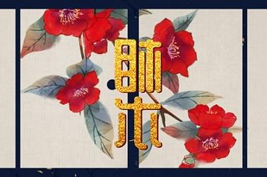 梦见拖鞋原版周公解梦（梦见拖鞋什么预兆）