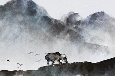 八字算命衰是什么意思（五行几个金算金多）