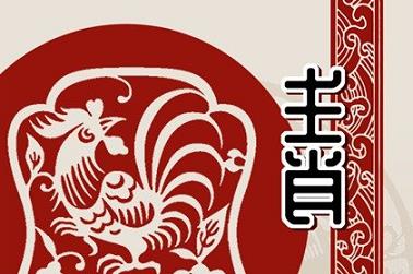 金 薇 起名（金姓女孩名字简单大方洋气）