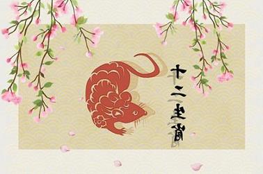 兔子与鸡属相合不合（属兔和属鸡的配对指数）