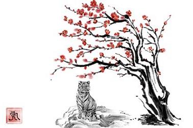 12月一日是什么星座（射手座合不来的三大星座）