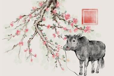 下半年双鱼座运势（双鱼座财运如何）