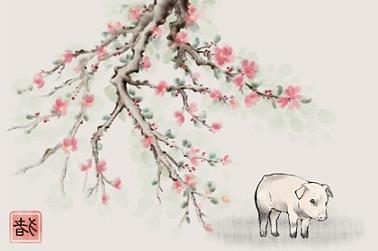 一九七六年出生是什么属相（九七年属牛的婚姻配对）