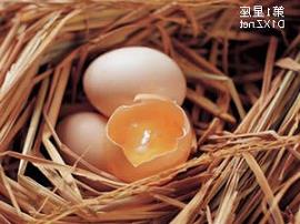 梦见房子震动周公解梦（周公解梦梦见房子抖动）