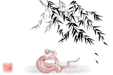 88年7月16日是什么命（1988年7月13日是什么命）