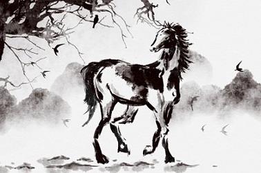 平面设计起名（设计名字）